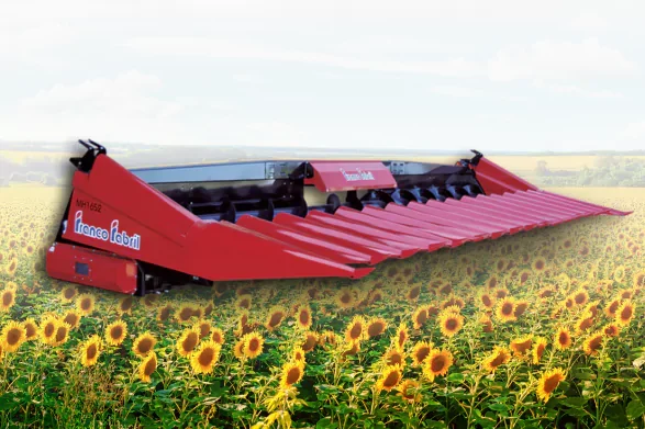 franco-fabril-667abca81107b franco-fabril-667abca81107b