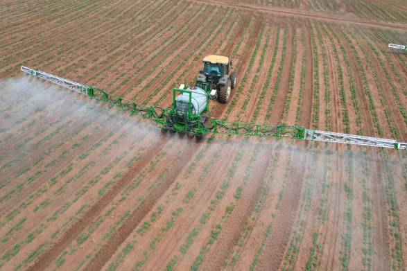 imep-667abca9b0162 imep-667abca9b0162