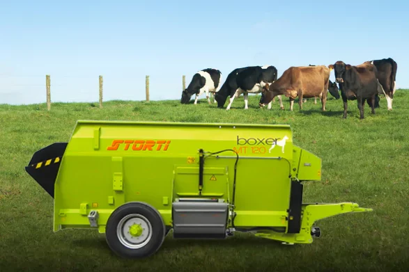 storti-667abcad7a479 storti-667abcad7a479